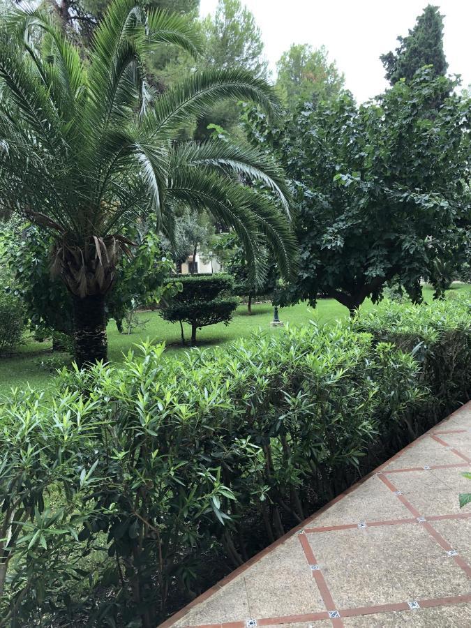 Parque 2